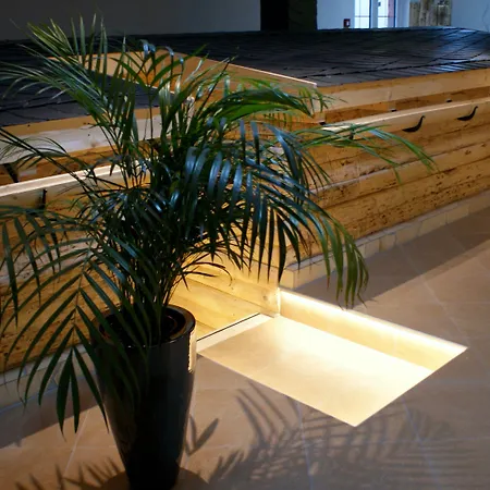 Hotel Alpina Oberwiesenthal