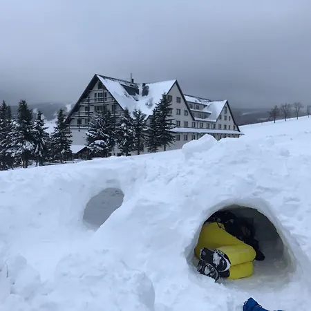 Hotel Alpina
