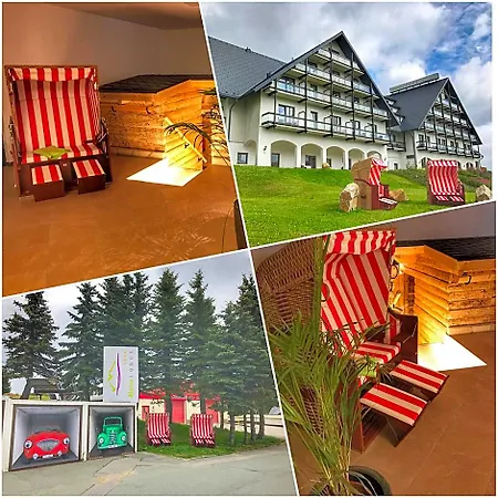 Hotel Alpina 4*