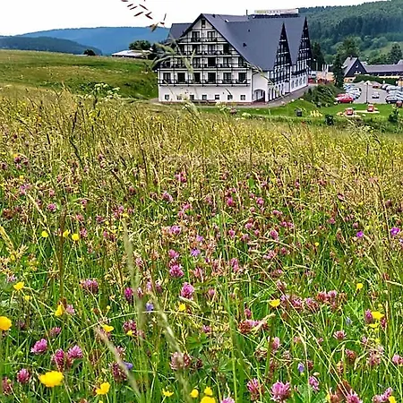 Alpina Hotel 4*