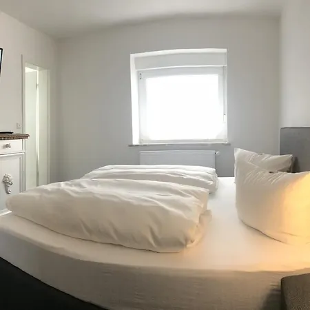 Hotel Alpina 4*