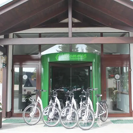 Hotel Alpina