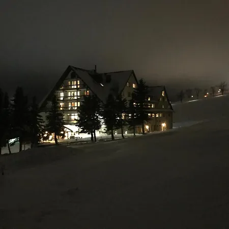 Hotel Alpina 4*