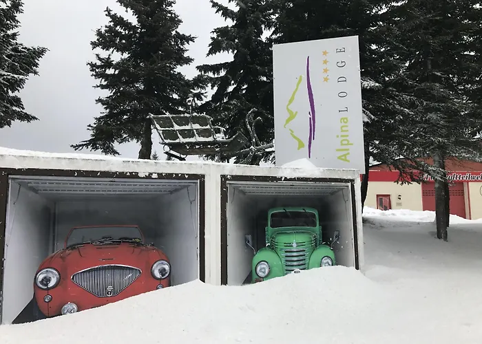 Alpina 4* Oberwiesenthal